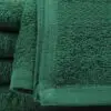 16x27 Hunter Green Salon Towel
