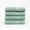 16x30 Kashmir Green Hand Towel; Mint Green Hand Towel; Spa Towel